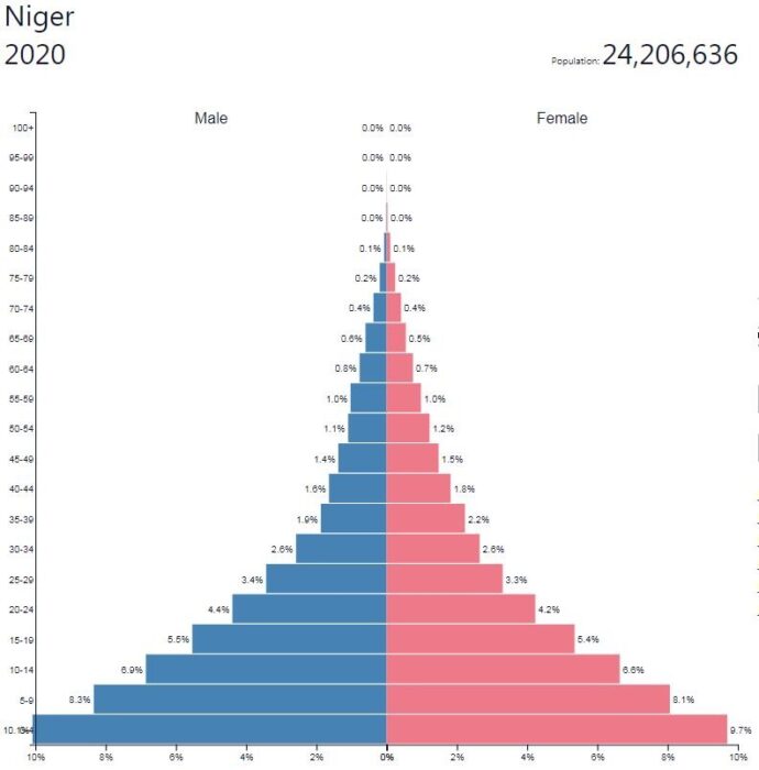 Niger Population Pyramid